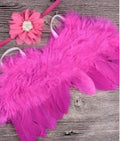 Photography Wing Set