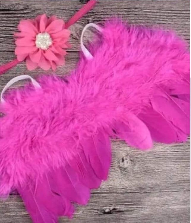 Photography Wing Set