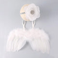 Photography Wing Set