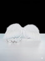 Photography Wing Set