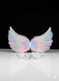 Photography Wing Set