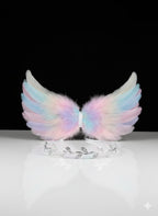 Photography Wing Set