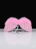 Photography Wing Set